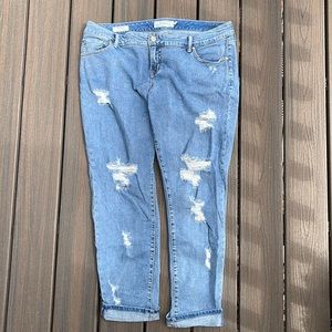 Torrid boyfriend jeans